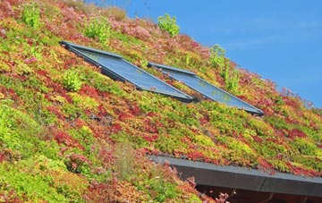 Tuckermarsh living roof systems