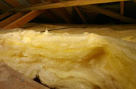 Tuckermarsh pitch roof insulation